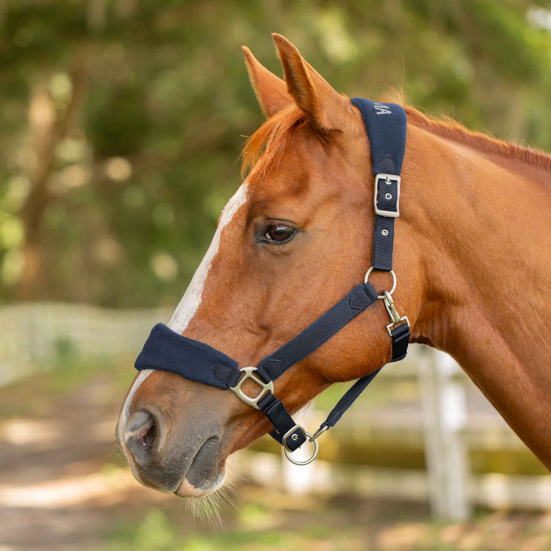 Equinavia Saga Fleece Padded Breakaway Halter image #1