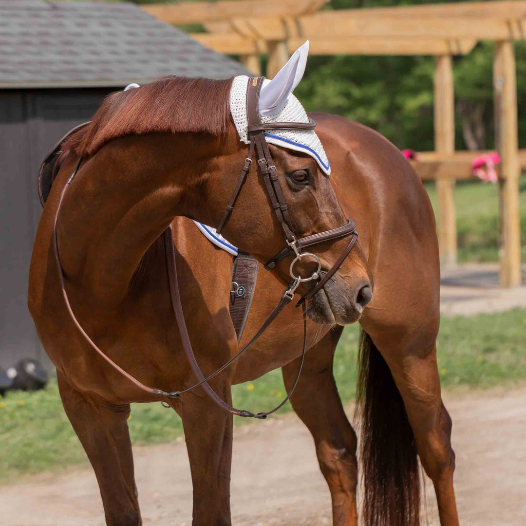 Equinavia Voss Dressage Saddle Pad and Bonnet Set image 