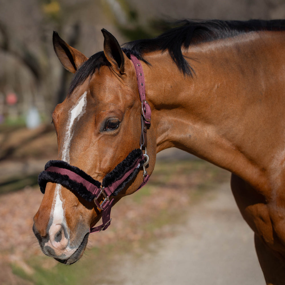 Equinavia Valkyrie Ultra Fleece Breakaway Halter image #2