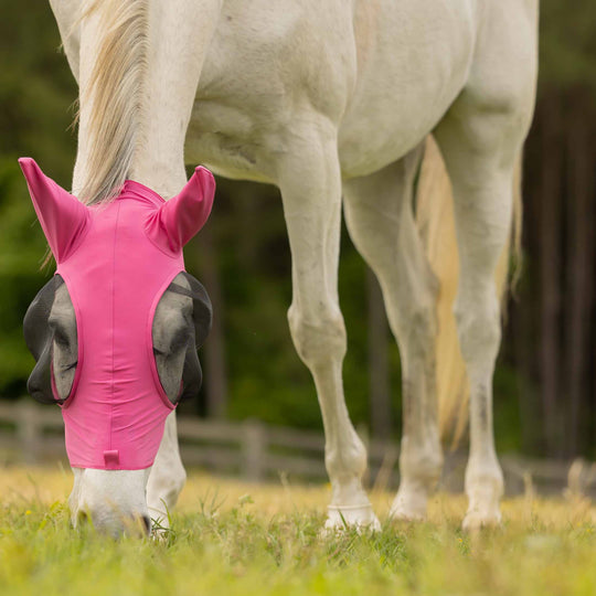 Equinavia Bug Out Fly Mask image 