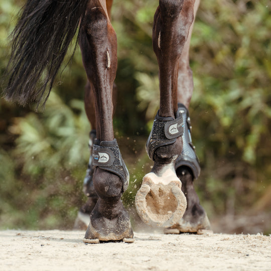 Veredus Young Jump Vento Rear Fetlock Boots image 