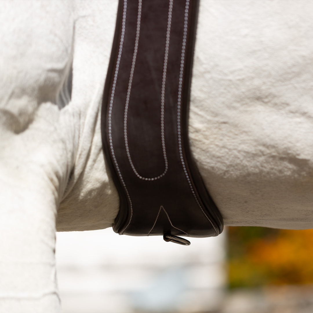 Equinavia Valkyrie Anatomical Long Girth image 