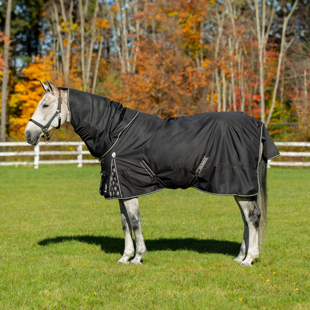 Equinavia Norse Mid Weight Turnout Blanket 200g image 