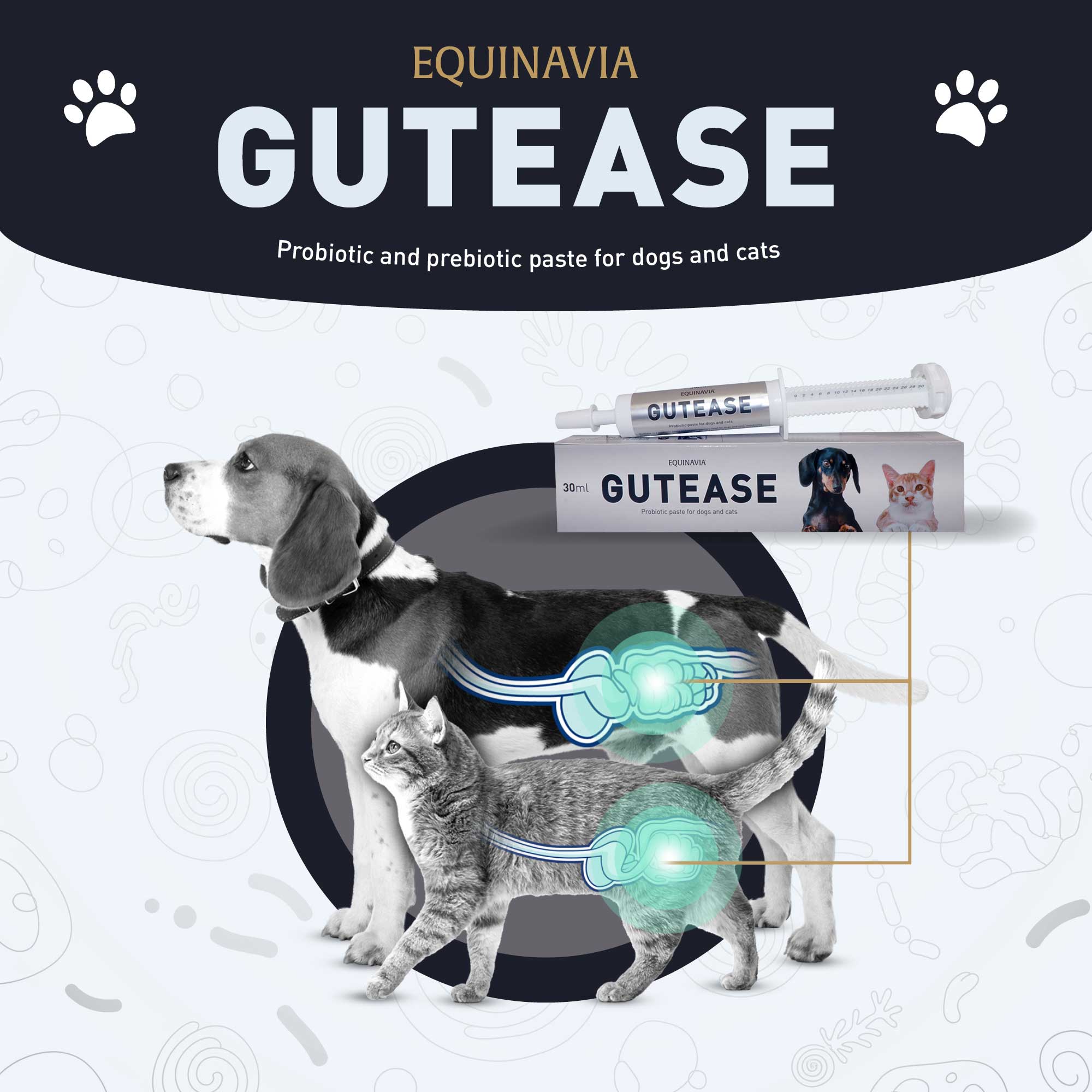 Equinavia GutEase image #1