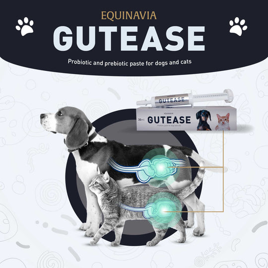 Equinavia GutEase image 