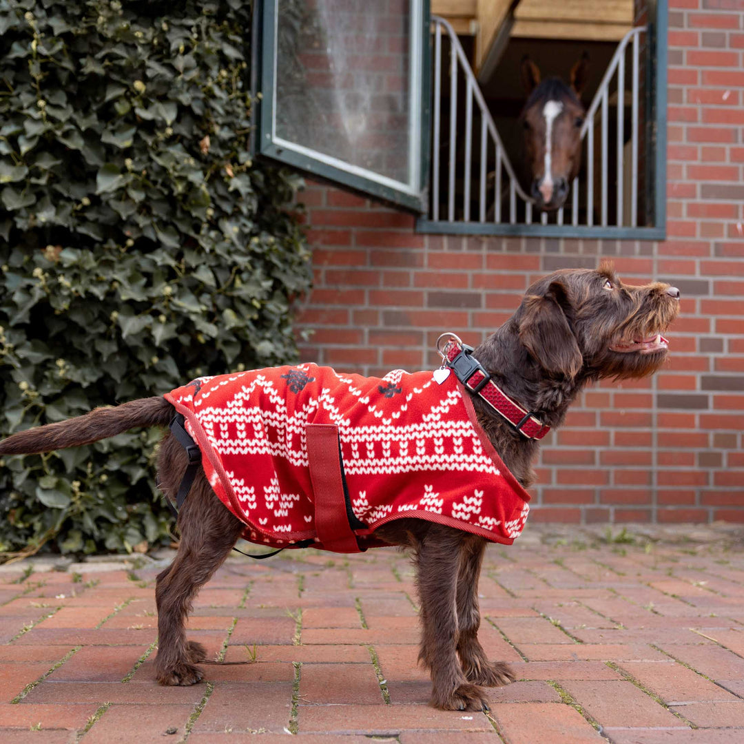 Horze Santa Dog Fleece Coat image 