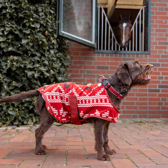 Horze Santa Dog Fleece Coat image 