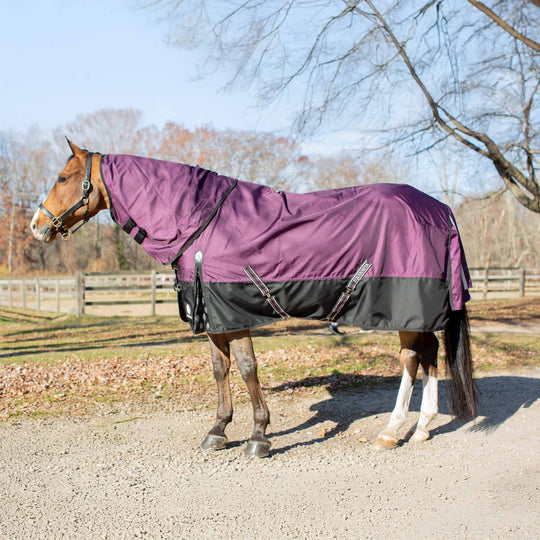 Equinavia Thunder 360 Detachable Neck Turnout Sheet image 