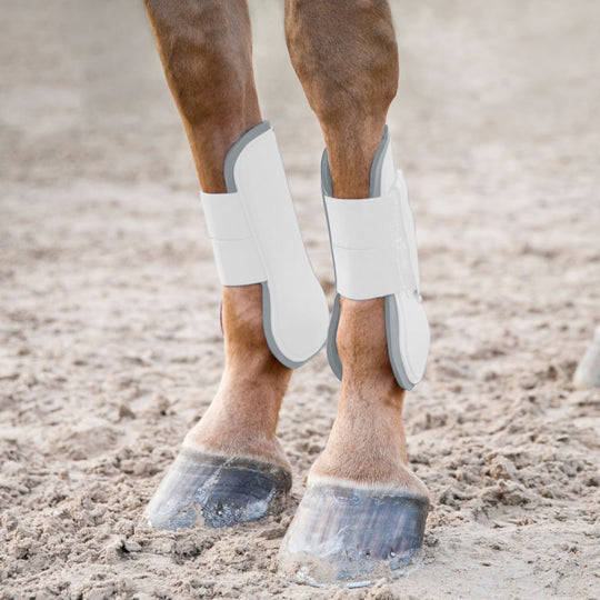 Horze Chicago Tendon Open Front Horse Boots image 