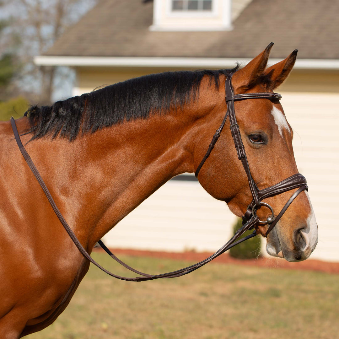 Equinavia Valkyrie Anatomic Jumper Bridle with Rubber Reins image #1
