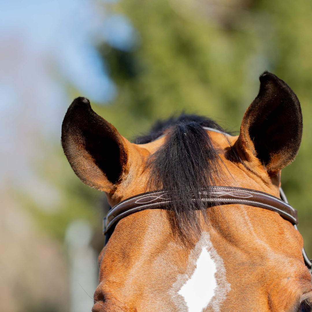 Equinavia Valkyrie Classic Wide Noseband Hunter Bridle with Reins image 