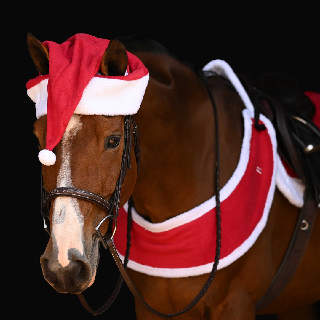 Horze Santa Harness image #1