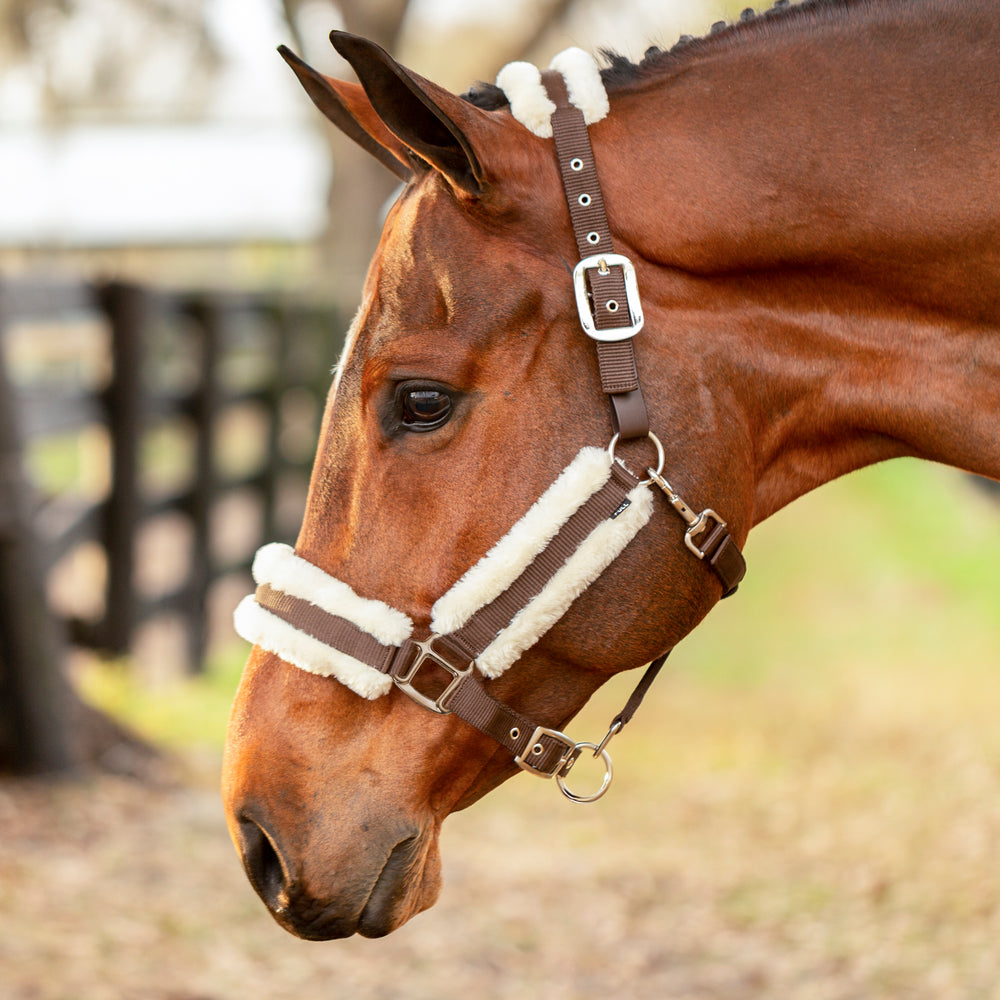 Equinavia Valkyrie Ultra Fleece Breakaway Halter image #2