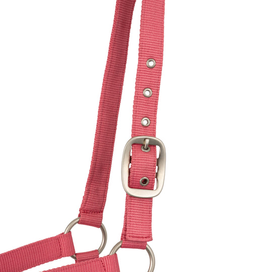 Horze Rose Tonique Halter image 