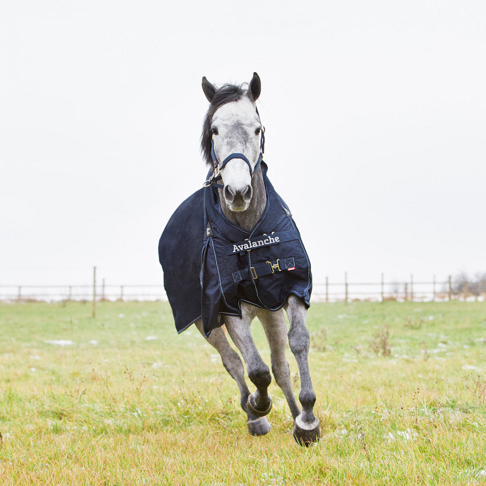 Horze Avalanche Heavy Weight Turnout Blanket 300g image #2