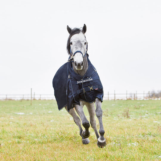 Horze Avalanche Heavy Weight Turnout Blanket 300g image 
