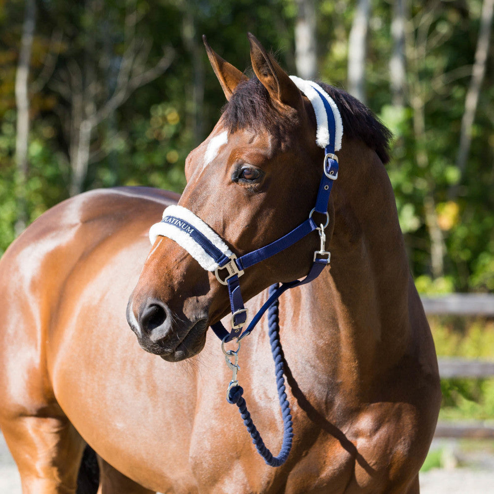 Horze Howard Halter image #1
