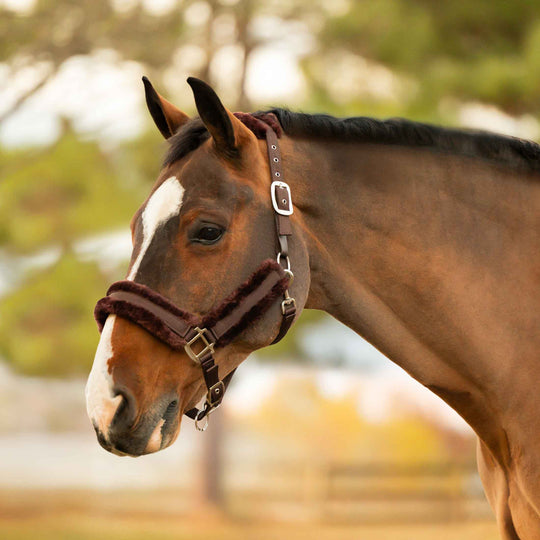 Equinavia Valkyrie Ultra Fleece Breakaway Halter image 