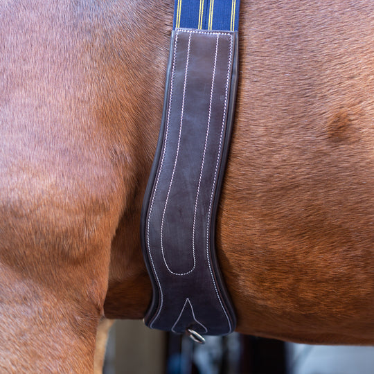 Equinavia Valkyrie Anatomical Long Girth image 