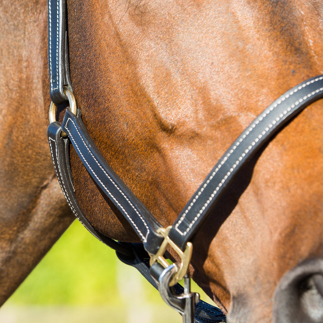Horze Fremont Leather Horse Halter image 