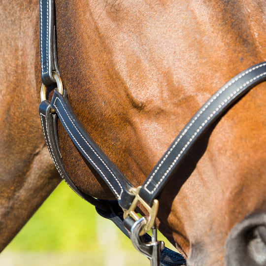 Horze Fremont Leather Horse Halter image 