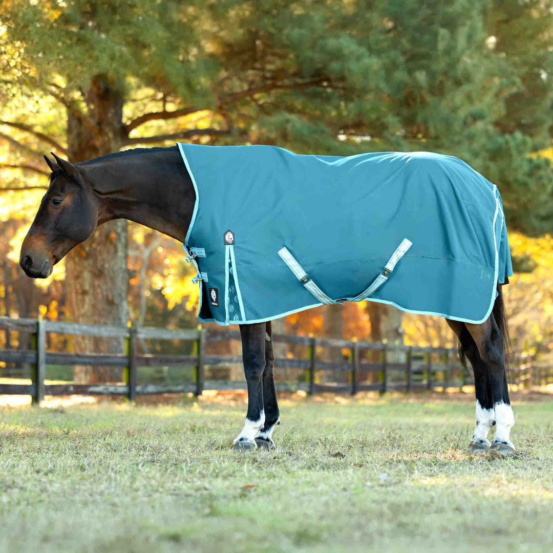 Equinavia Arktis Extended Neck Heavy Weight Turnout Blanket 300g image 