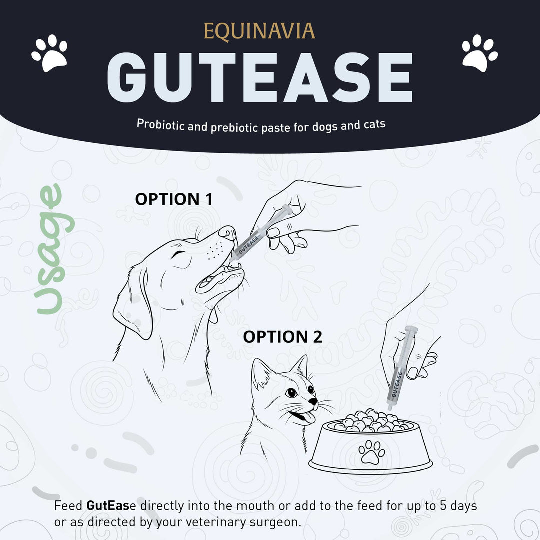 Equinavia GutEase image 