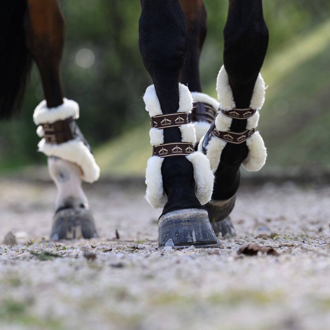 Veredus Carbon Gel Absolute Save the Sheep Rear Fetlock Boots image 