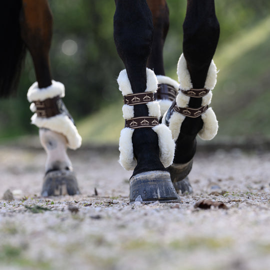 Veredus Carbon Gel Absolute Save the Sheep Rear Fetlock Boots image 
