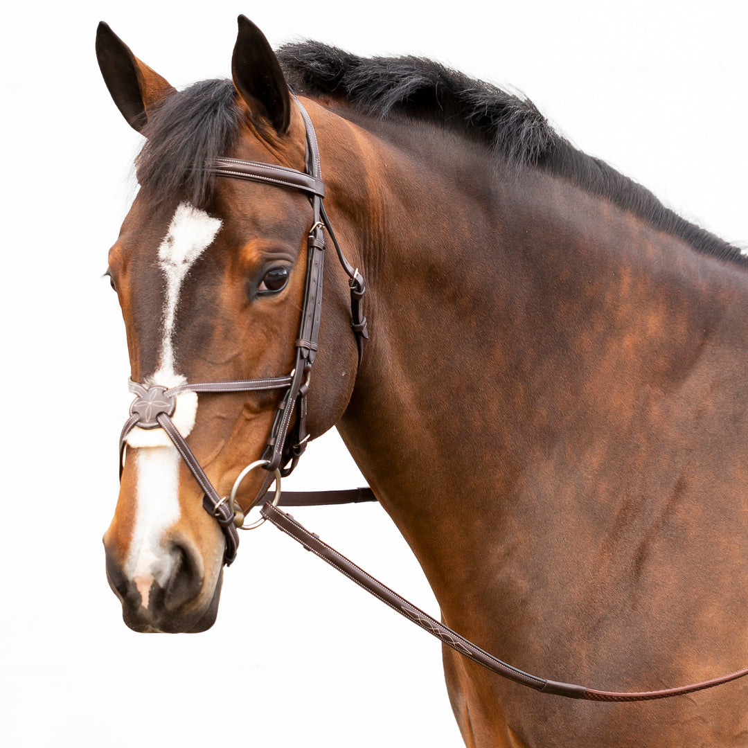 Equinavia Valkyrie Fancy Stitched Figure 8 Bridle &amp; Reins image 