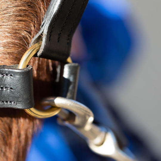 Equinavia Valkyrie Classic Leather Halter image 