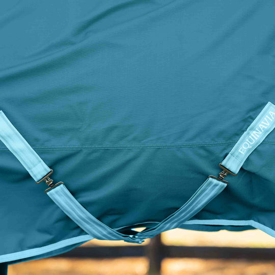 Equinavia Arktis Extended Neck Heavy Weight Turnout Blanket 300g image 