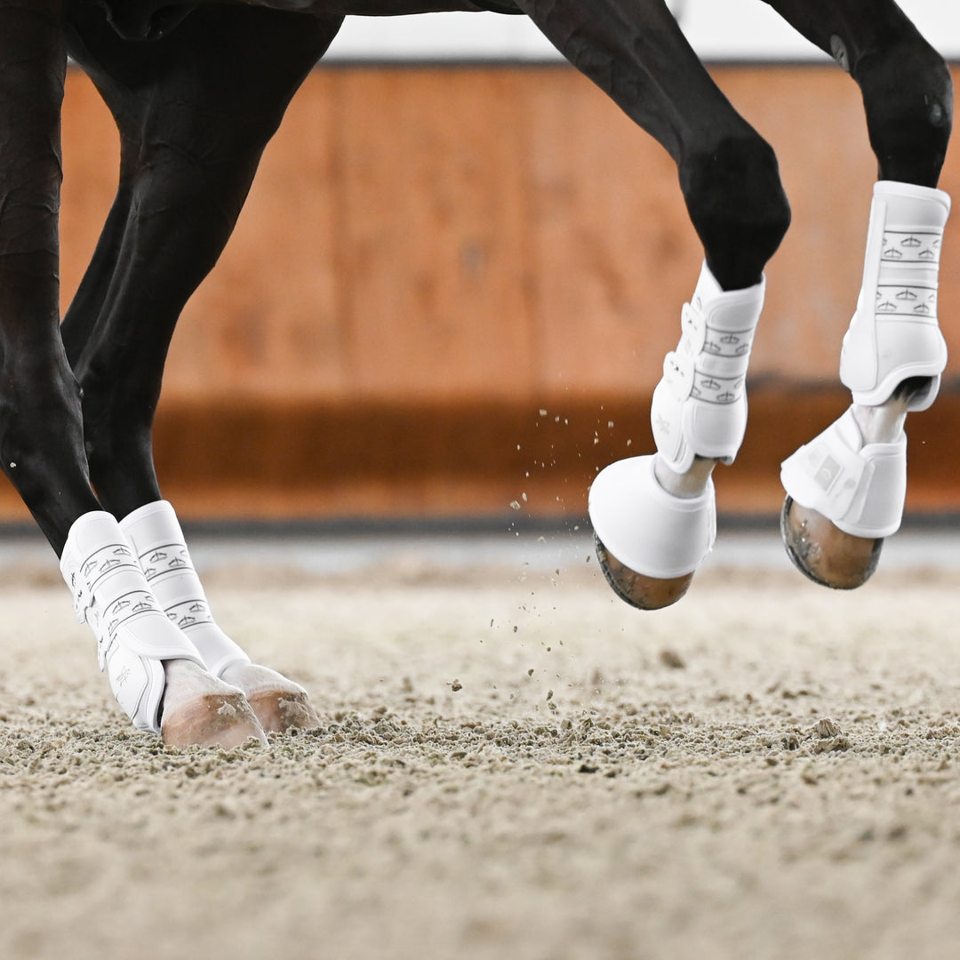 Veredus Absolute Easy Strap Rear Dressage Boots image 