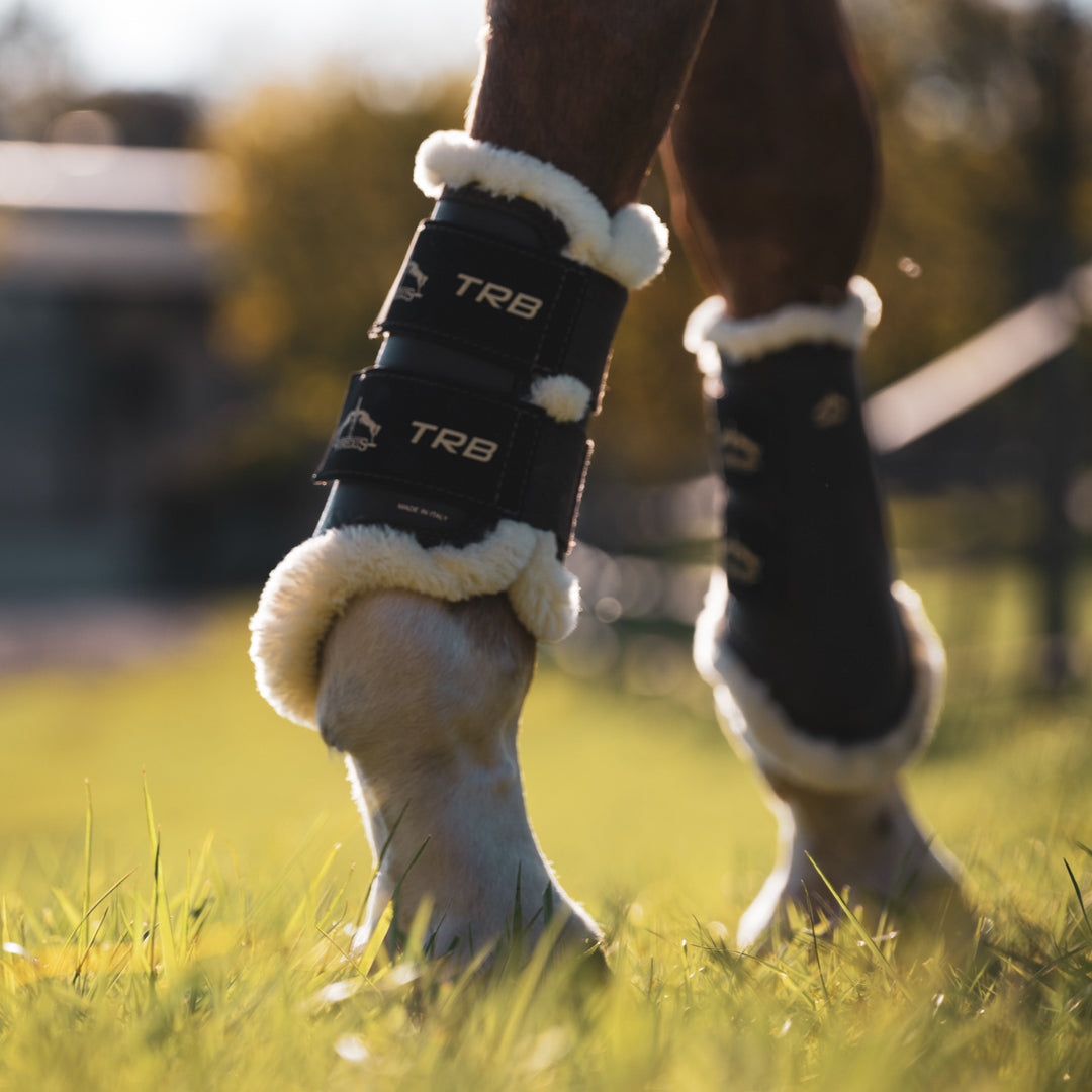 Veredus TRB Save the Sheep Front Turnout Boots image 