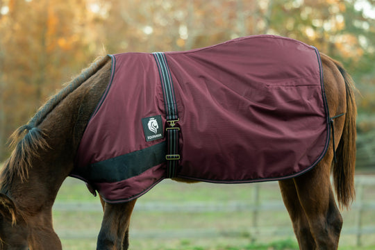Equinavia Norse Foal Turnout Blanket 200g image 