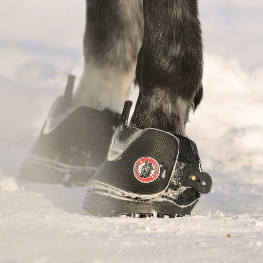 Equine Fusion Active Jogging Shoe Hoof Boot Pair image 