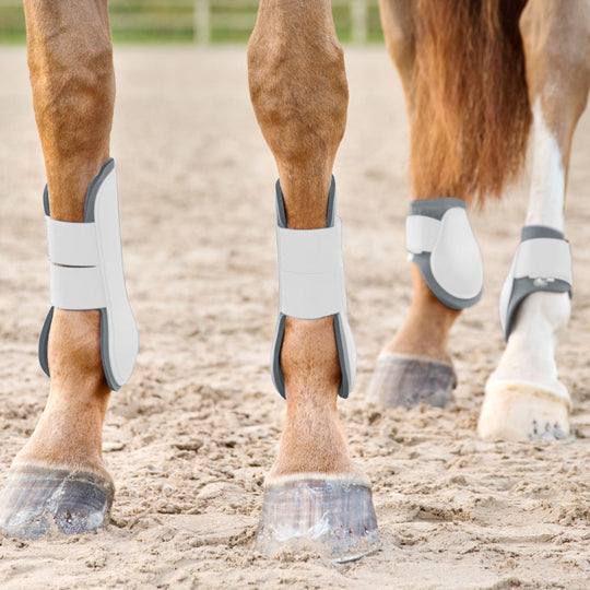 Horze Chicago Tendon Open Front Horse Boots image 