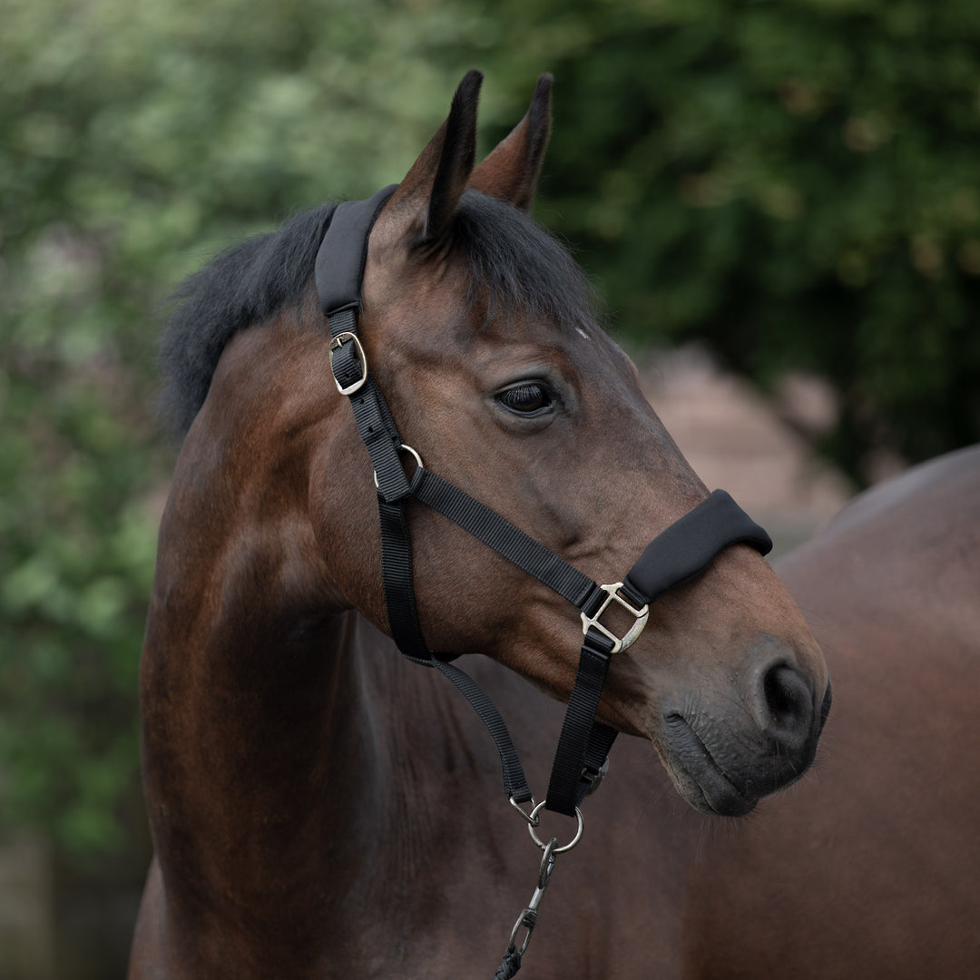 Horze Graz Fleece Padded Halter image 