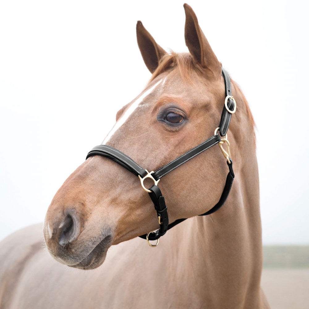 Horze Largo Leather Halter image #1