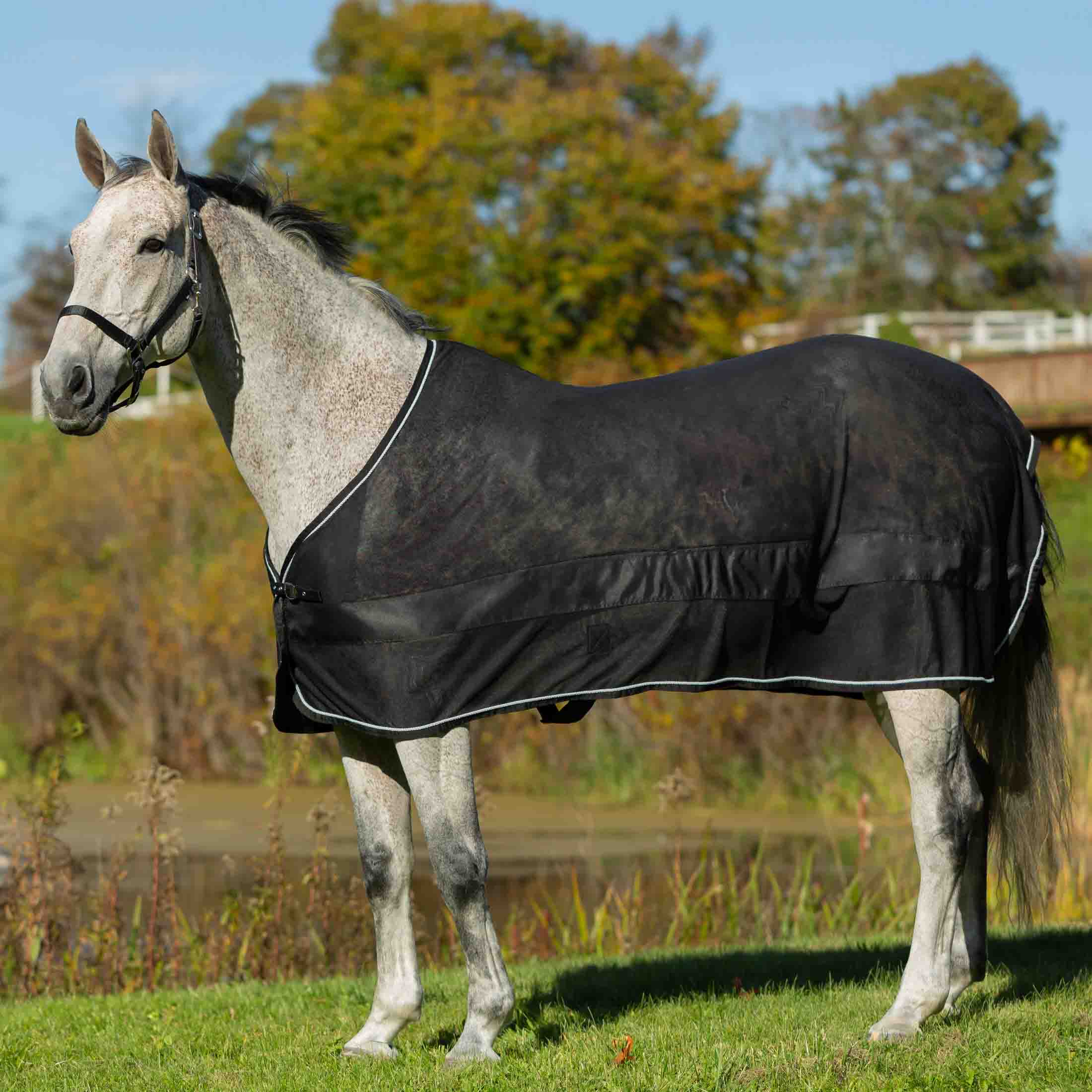 Equinavia Sol Ringside Scrim Sheet image #1