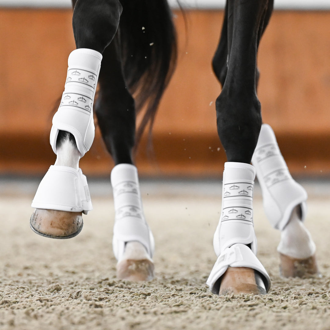 Veredus Absolute Easy Strap Rear Dressage Boots image 