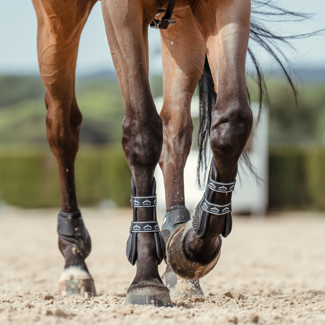 Veredus Carbon Gel Vento Rear Fetlock Boots image 