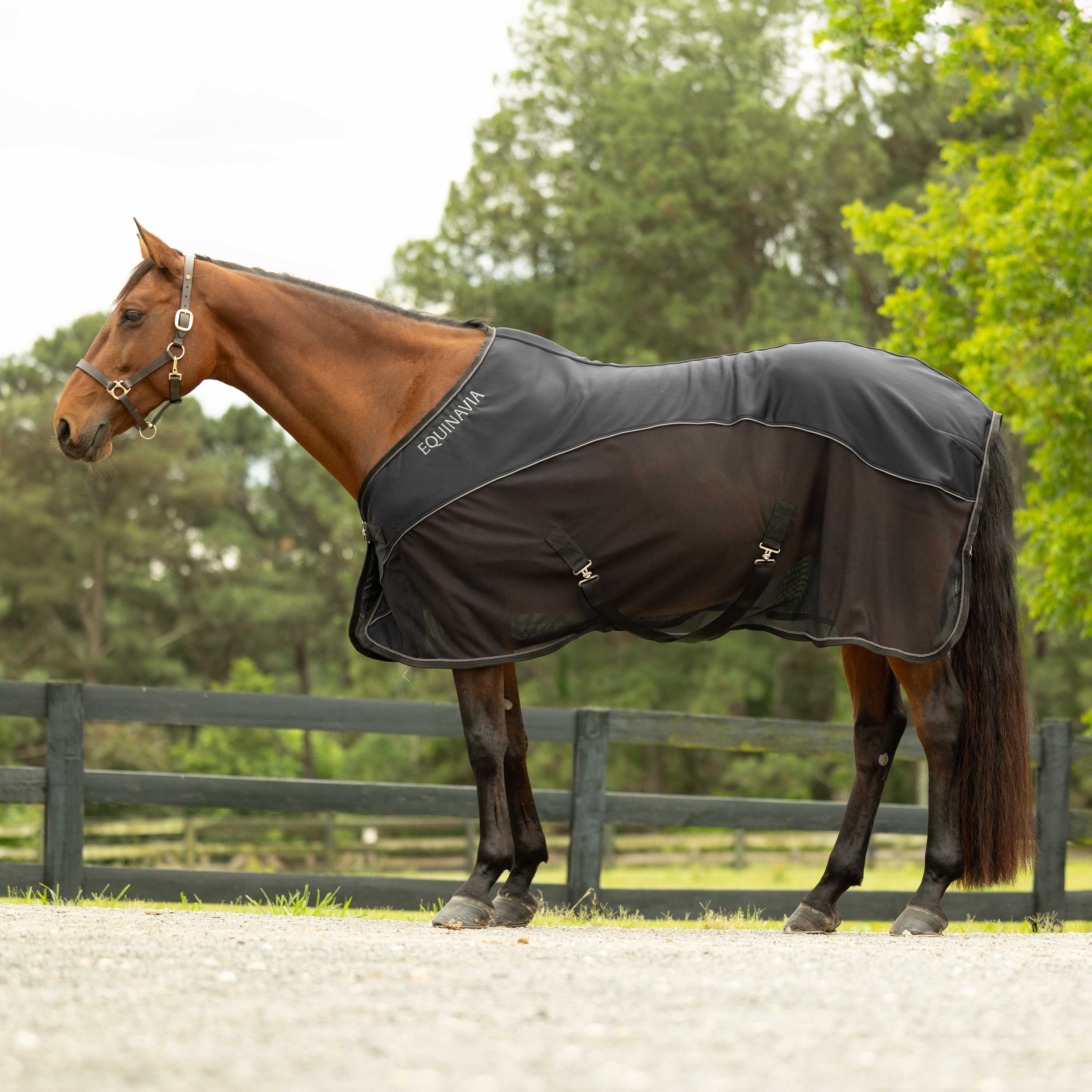 Equinavia Sommer Stable Sheet with NordicAir™ Tech image #1
