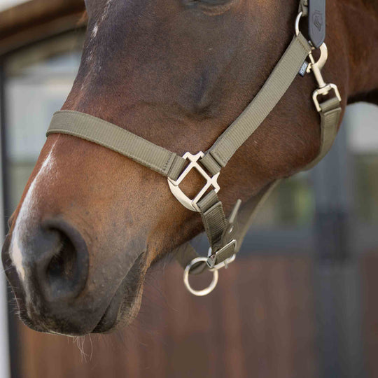 Equinavia Loki Breakaway Halter image 