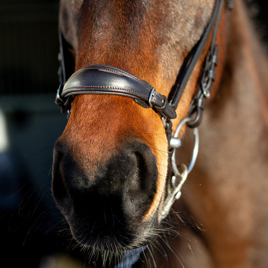 Horze Bergen Leather Remont Bridle image 