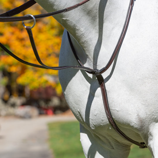 Equinavia Valkyrie Fancy Stitched Running Martingale image 