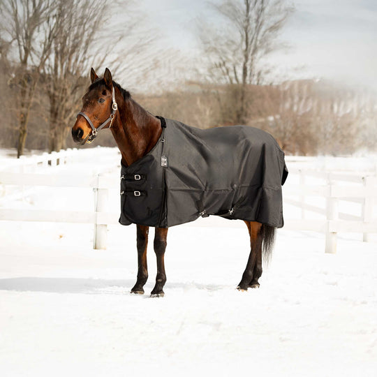 Horze Nevada Light Weight Turnout Sheet image 