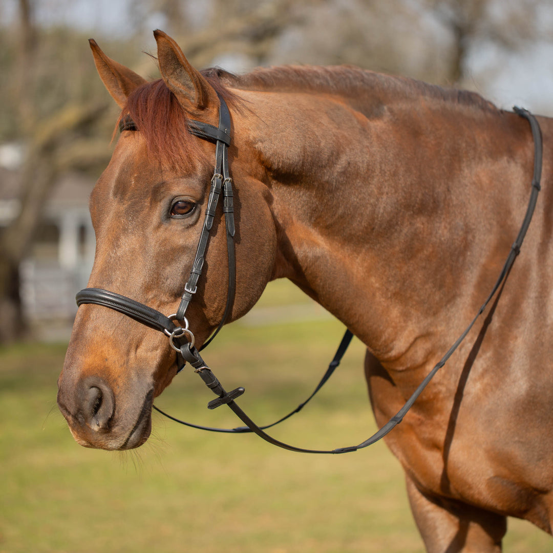 Equinavia Saga Bitless Bridle image #1
