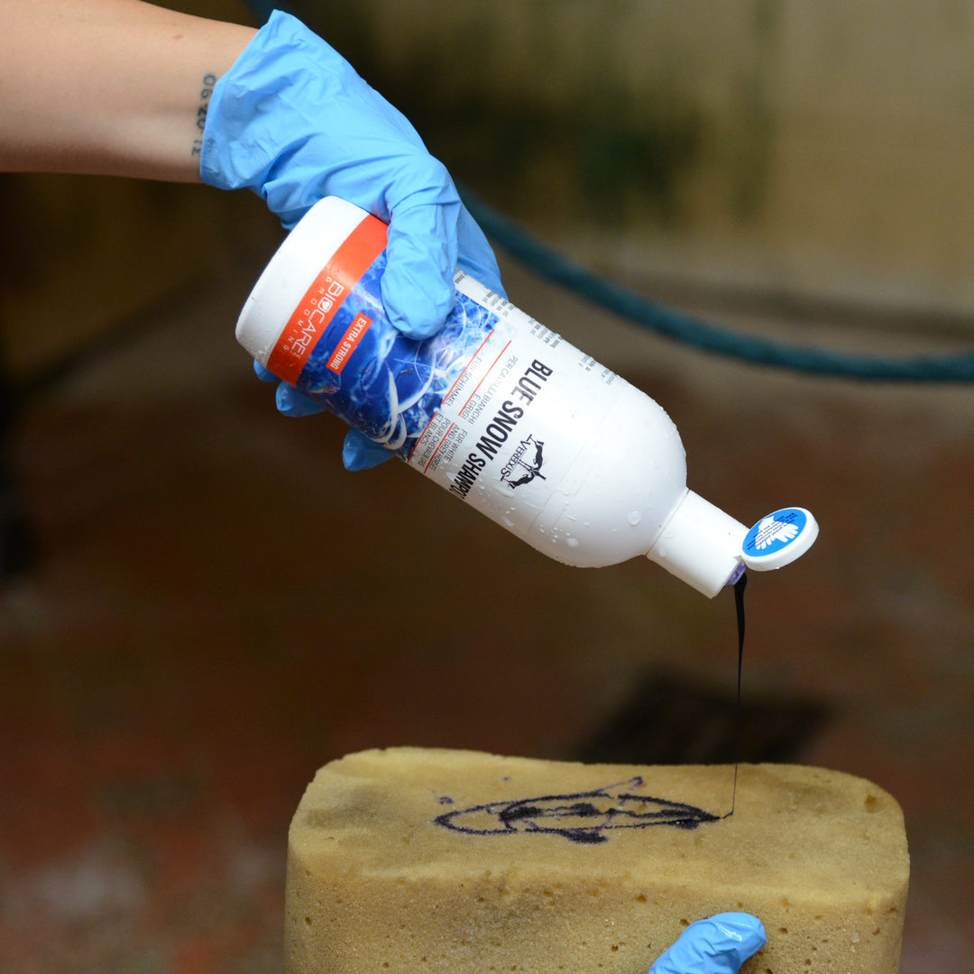 Veredus Blue Snow Shampoo image 