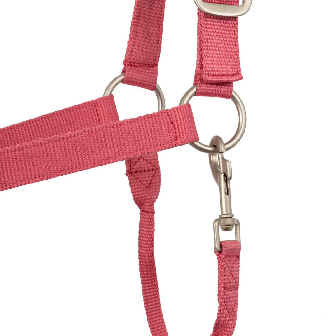 Horze Rose Tonique Halter image 